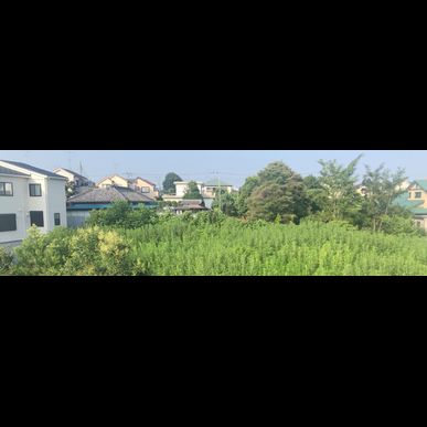 白井市で相続土地国庫帰属制度のことなら【相続と終活の相談室　行政書士オフィスなかいえ】