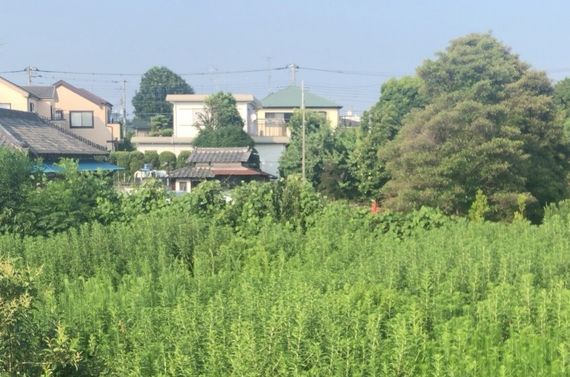 香取市で相続土地国庫帰属制度のことなら【相続と終活の相談室　行政書士オフィスなかいえ】
